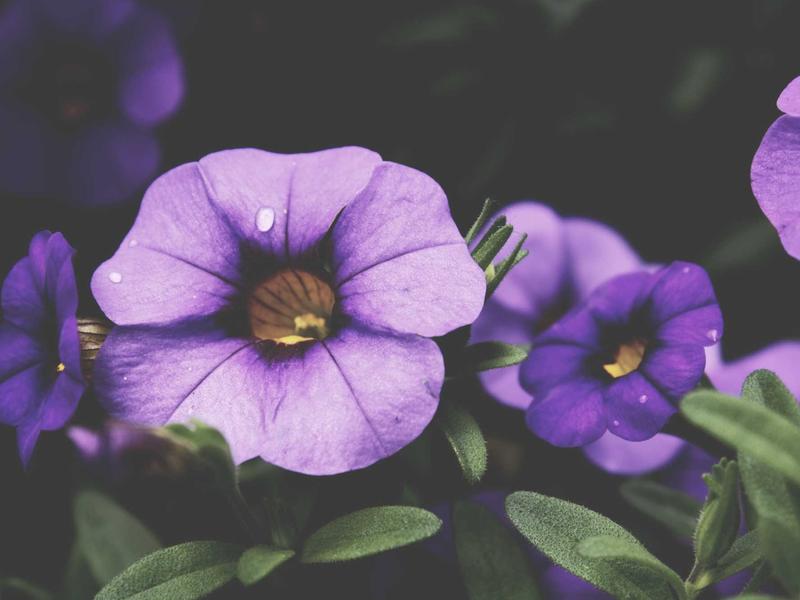 sudoku beginner tips screenshot 5