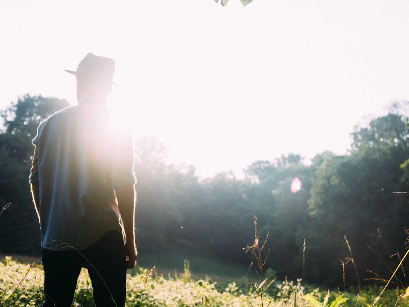 sudoku forcing chains screenshot 2